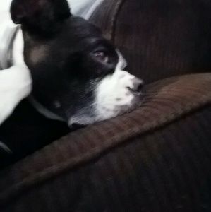 Meet your Posher, Marie